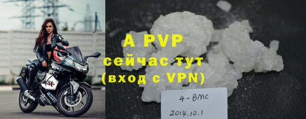 молекула духа Бородино