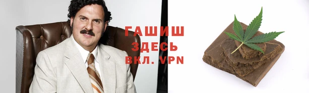 молекула духа Бородино