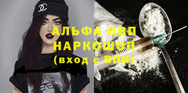 молекула духа Бородино