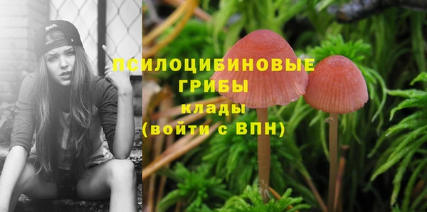 молекула духа Бородино