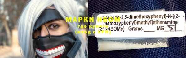 молекула духа Бородино